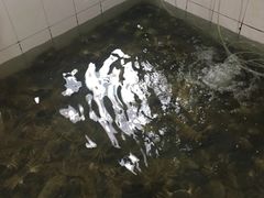-喜洋洋蟹庄(阳澄湖店)