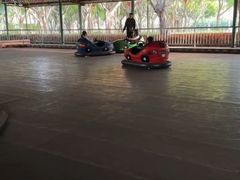 -厦门海湾公园游乐场