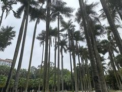 -南宁南湖公园