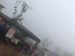 -梦幻奥陶纪景区