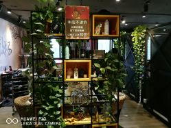 点击看大图 -藤野造型