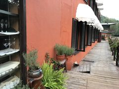 -Local泰莲庭(虹鳟鱼店)