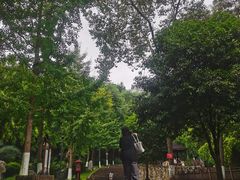 -翠屏公园