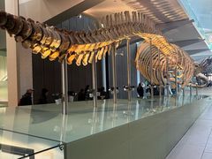 -墨尔本博物馆(Melbourne Museum)