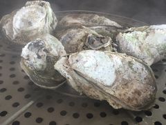 -蚝专家(北滘店)