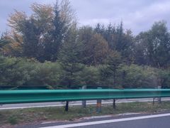 -五营红松林海景区