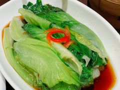 -湖北三五醇酒店·35年新楚菜