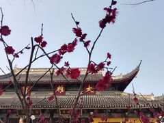 -西园戒幢律寺