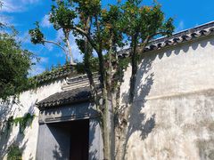 -拙政园