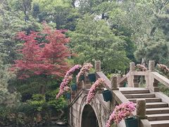 -上海醉白池公园