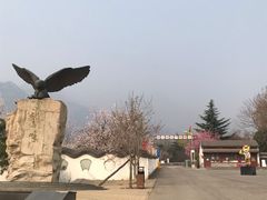 -北京鹫峰国家森林公园