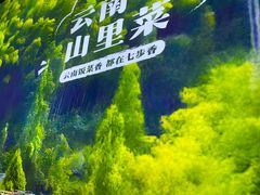 -七步香云南山里菜(昆明老街店)