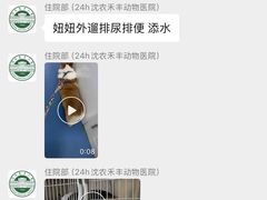-派美特宠物医院·核磁CT·骨科肿瘤·疑难转诊(沈农禾丰店)