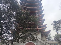 -缙云山景区