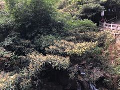 -太和古洞