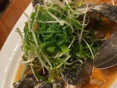 -云龙轩(迪士尼探索家度假酒店)