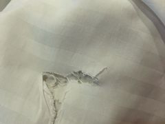 -大澡堂