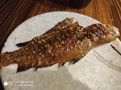 -尕羊烤肉餐厅·清真(会宁路店)