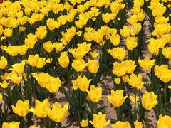 -咸阳湖景区-统一广场