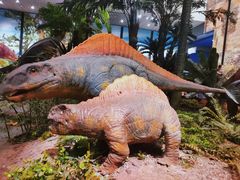 -湖南省地质博物馆