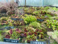 -北京植物园-展览温室