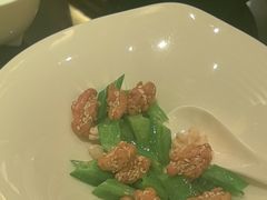 -万豪中餐厅·粤菜·北京粤财JW万豪酒店