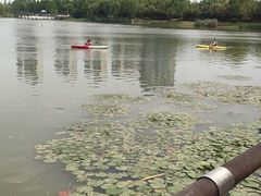 -南翔镇银翔湖公园