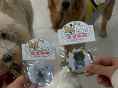 -汪说·狗咖·拼豆·宠物周边DIY(旺城大厦店)