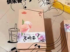 -老袁家蜜桃农场·阳山水蜜桃