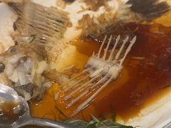 -永記粤菜·五指毛桃花雕鸡煲(九亭店)