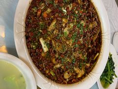 -西木兔(大圆祥店)