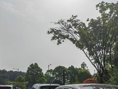 -铁山坪森林公园