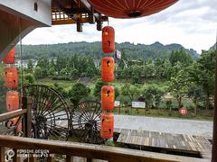 -印象鲵宴·张家界地标美食名片(溪布街店)