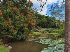 -中国科学院西双版纳热带植物园