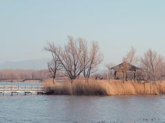 -野鸭湖国家湿地公园