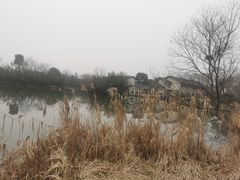 -新荣记(西溪湿地店)