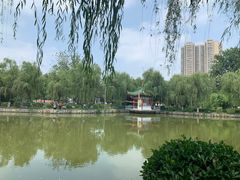 -咸阳湖景区-古渡公园