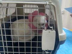 -达爱动物医院·犬猫分区·CT·复杂眼科(远洋山水分院)