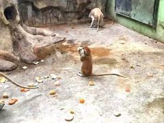 -石家庄市动物园