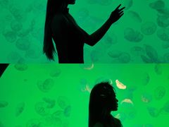 -沈阳海洋探索中心