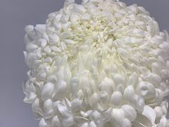-汇龙潭
