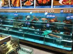水产区-强记海鲜·大排档(蛇口新街店)