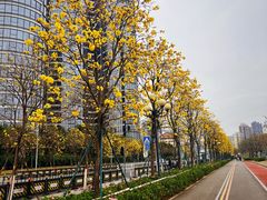 -洲头咀公园