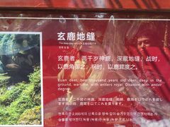 -鹿院坪生态旅游景区