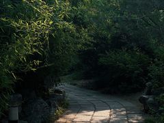 -济南大明湖景区