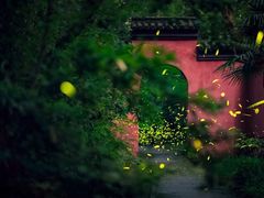 -灵谷景区