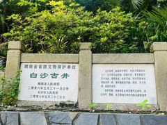 -白沙古井