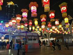 -锦江乐园舞狸花花游园会(夜场专享)
