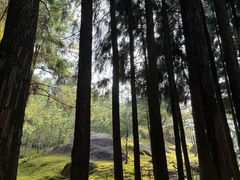 -玉苍山国家森林公园