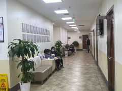 -美联众合动物医院·24h转诊中心